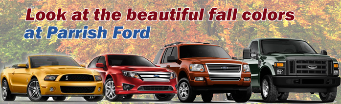 Fall Banner for Parrish Ford